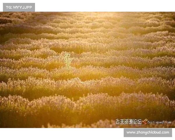 徒弟探秘:十个关键建议助你踏上寻找失传秘术的冒险之旅 徒弟探秘:十个关键建议助你踏上寻找失传秘术的冒险之旅