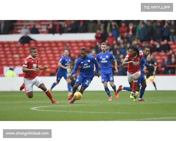 加的夫城足球俱乐部所在联赛级别分析及其历史表现